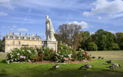 Photo du Bois-Préau à Rueil-Malmaison.