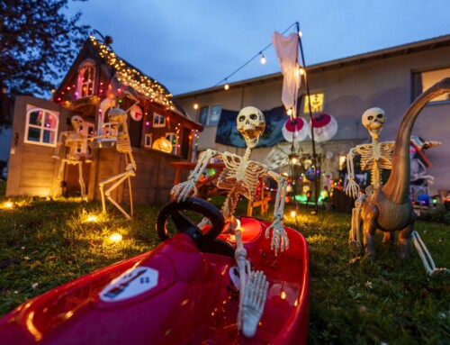 10 idées pour animer les fêtes d’Halloween dans votre ville